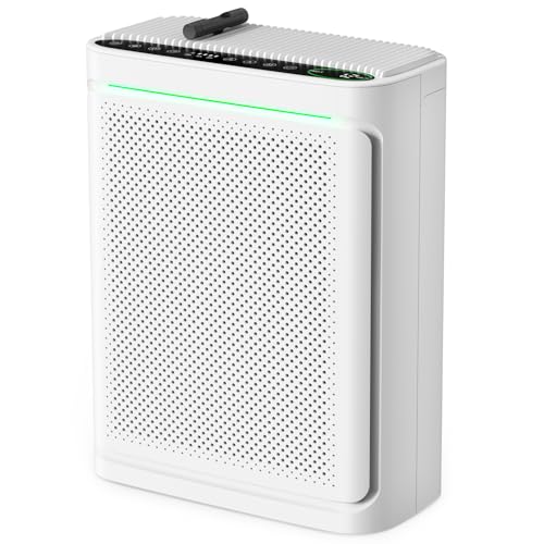 VOOPNU Air Purifier DH-JHD08
