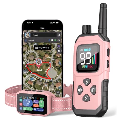 RAINLEOTI GPS Dog Fence & Training Collar