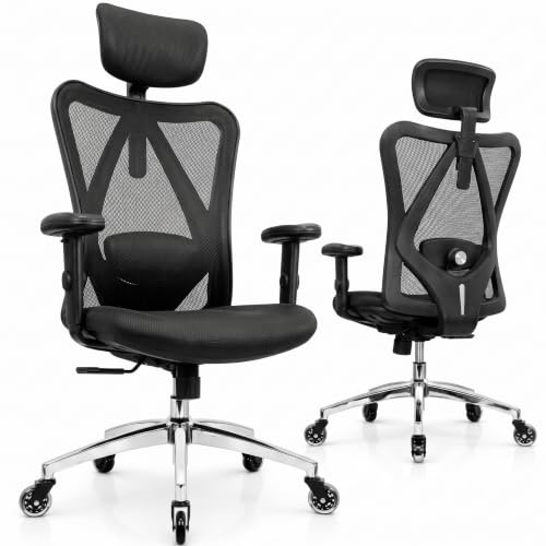 Duramont Ergonomic Office Chair
