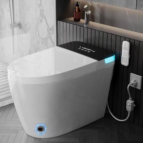 TDH Luxury Smart Bidet Toilet
