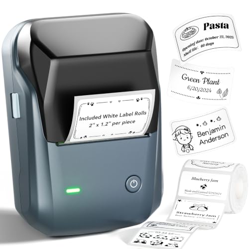 NIIMBOT B1 Thermal Label Maker with Tape
