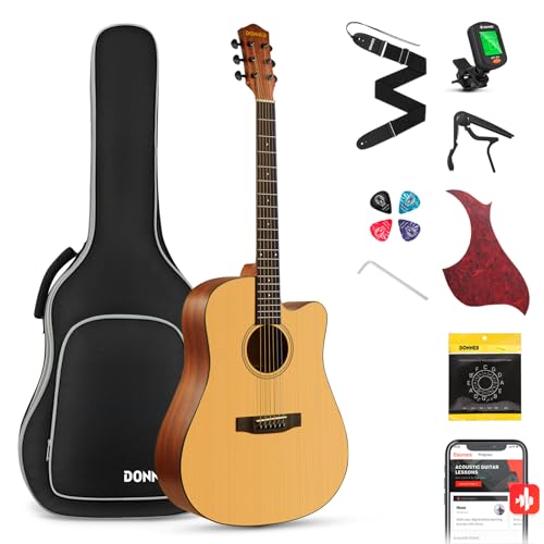 Acoustic Guitar