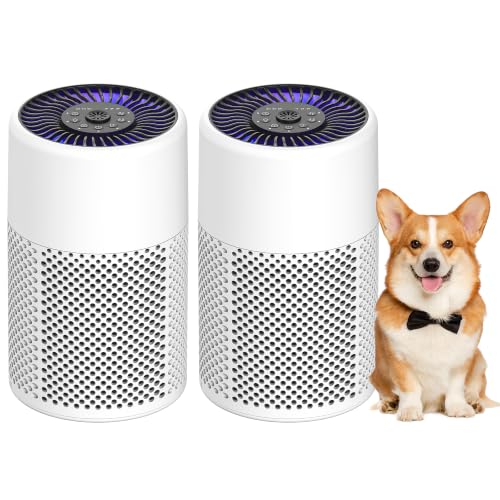 CHIVALZ Air Purifier with True HEPA Filter