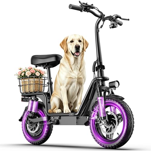 INSDRGN Electric Scooter with Seat