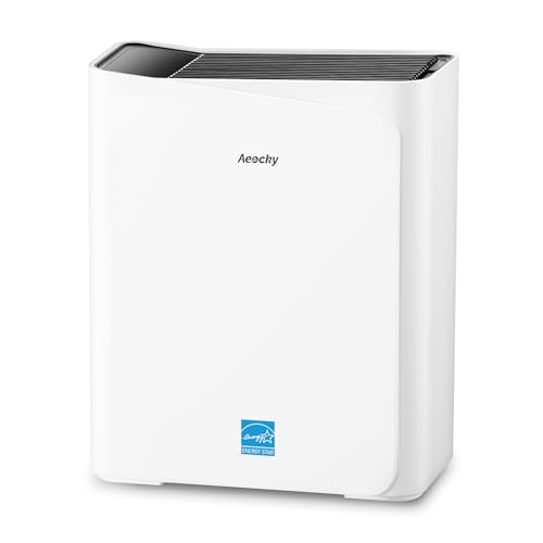 AEOCKY H14 HEPA Air Purifier