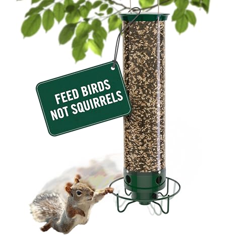 Droll Yankees Yankee Flipper Squirrel Proof Bird Feeder