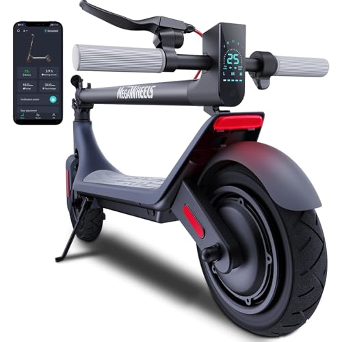 Adult Electric Scooter