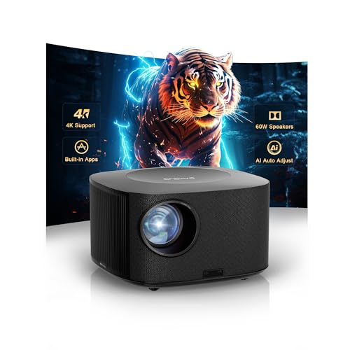 Outdoor Projectors