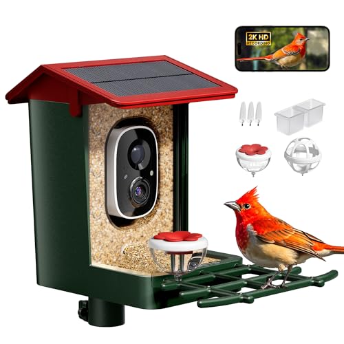 Bird Camera Feeder