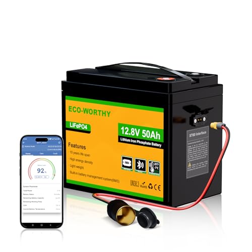 ECO-WORTHY LiFePO4 12V 50Ah Battery