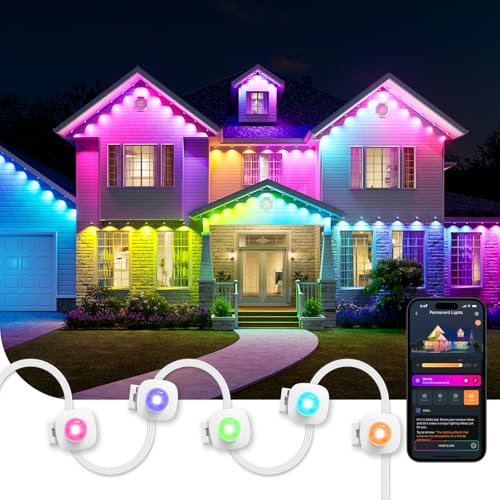 Permanent Outdoor Lights