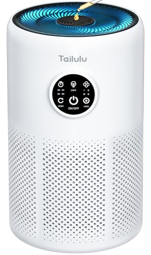 Tailulu D10 HEPA Air Purifier for Large Rooms