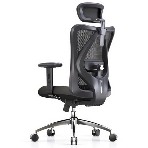 Ergonomic Chair