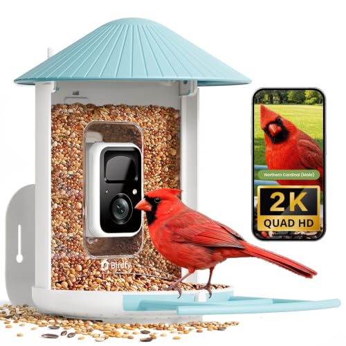 Bird Camera Feeder