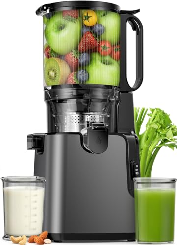 YPONE Cold Press Juicer Titanium Gray