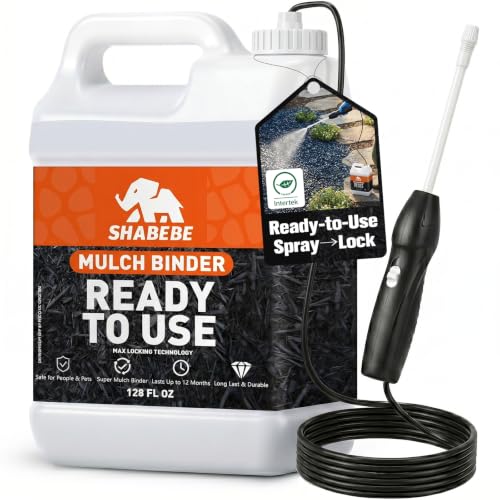 Shabebe Rock Glue with Sprayer