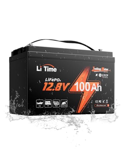 Litime 12V 100Ah LiFePO4 Battery for Marine and RVs