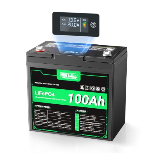 HQST LiFePO4 100Ah 12V Deep Cycle Battery