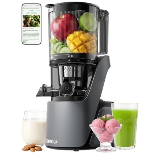 Canoly Cold Press Juicer Space Gray