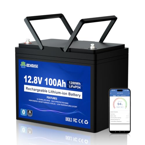 DC HOUSE 12V 100Ah LiFePO4 Battery