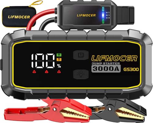 Car Battery