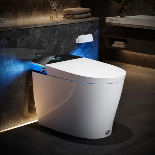 Smart Toilet