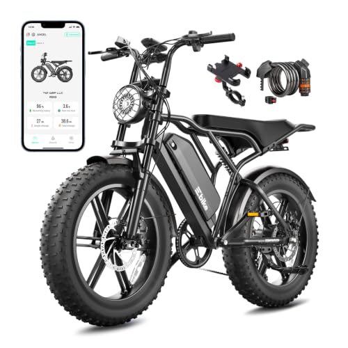 TST 1500W Electric Bike with Fat Tires