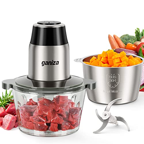 Ganiza Electric Food Processor with Grinder