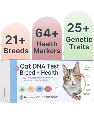 Basepaws Cat DNA Test Kit - Breed, Health, Dental Analysis