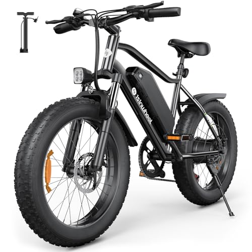 Isinwheel M10 Pro Electric Fat Tire Bike