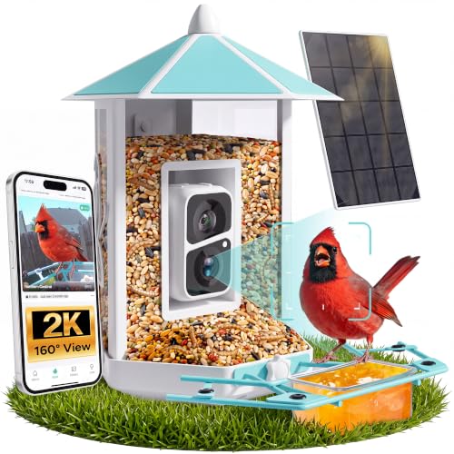 Onlyfly Bird Feeder Camera 2K Solar-Powered