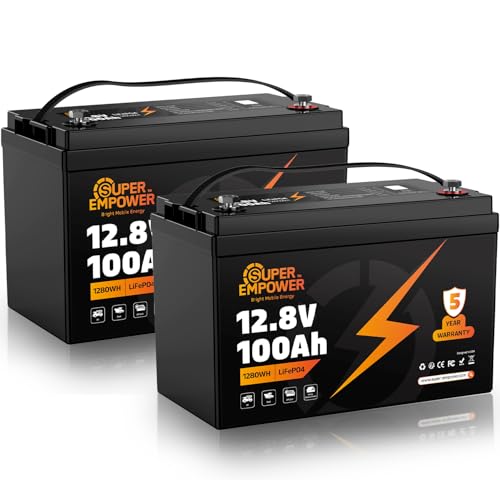 SUPER EMPOWER LiFePO4 Battery 12V 100Ah Pack