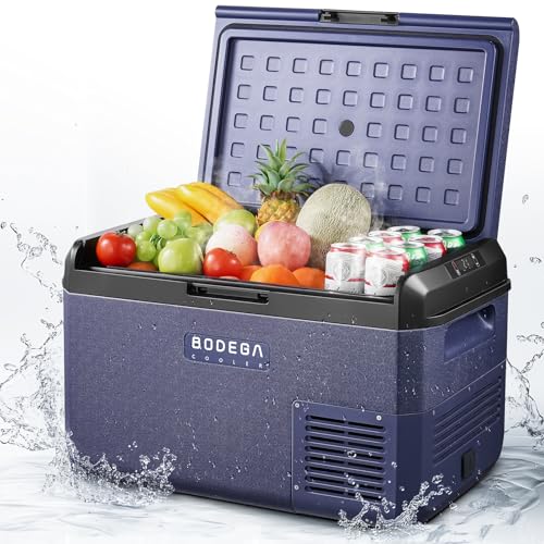 Car Fridge