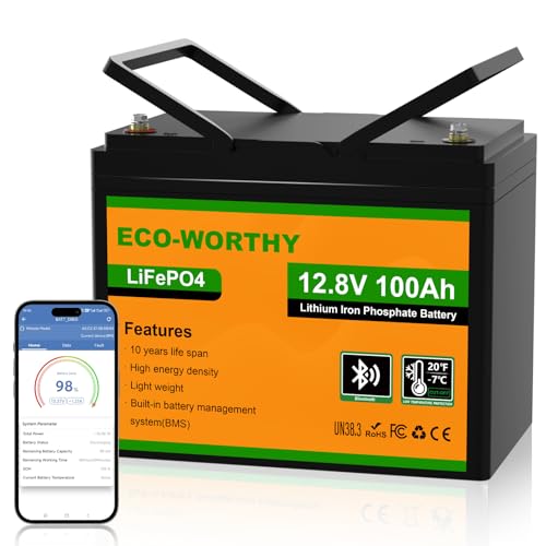 Lithium Trolling Motor Battery