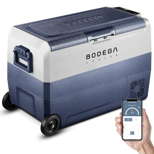 Car Fridge