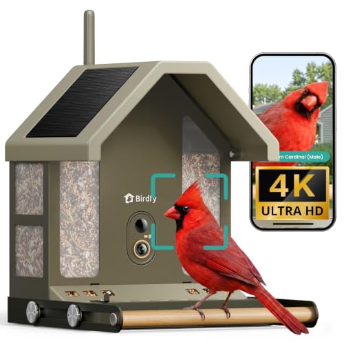Birdfy 4K Bird Feeder Camera