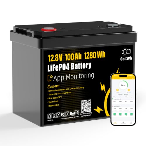 GOKWH LiFePO4 12V 100Ah Lithium Battery