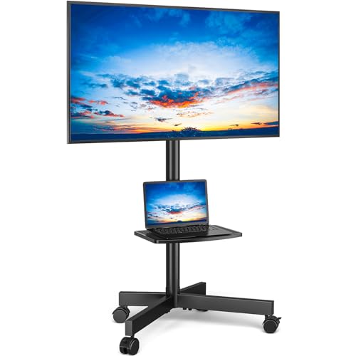 Rfiver Mobile TV Stand for 23-65 Inch TVs