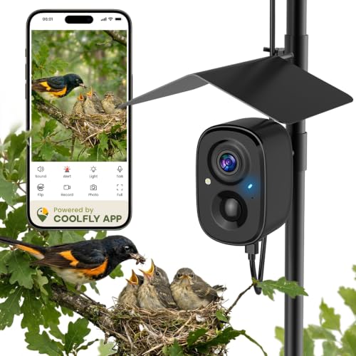 RichBird Solar Powered Smart Bird Camera