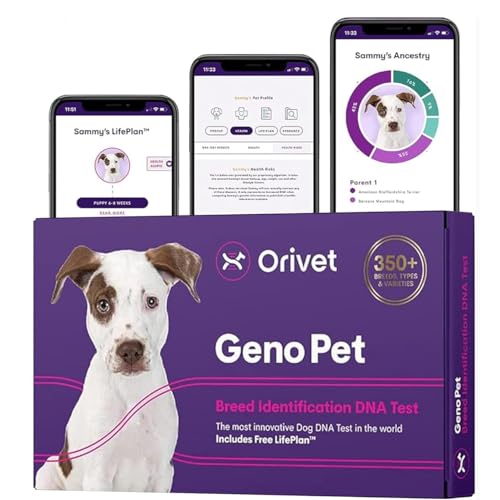 Orivet Dog DNA Test Kit