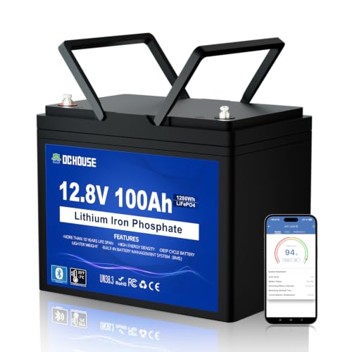 DC HOUSE 12V 100Ah LiFePO4 Battery