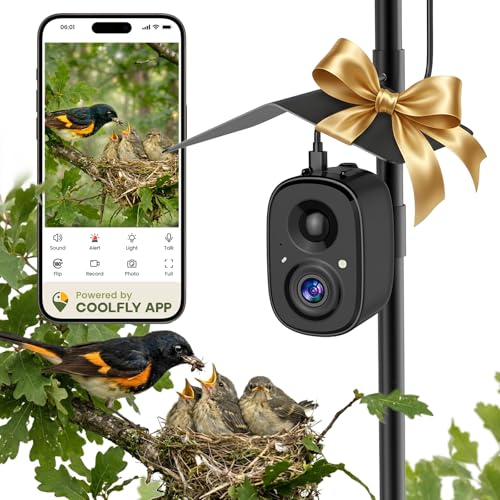RichBird Solar Powered Smart Bird Camera